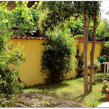 B&B Degli Amici Ciampino Exteriör bild